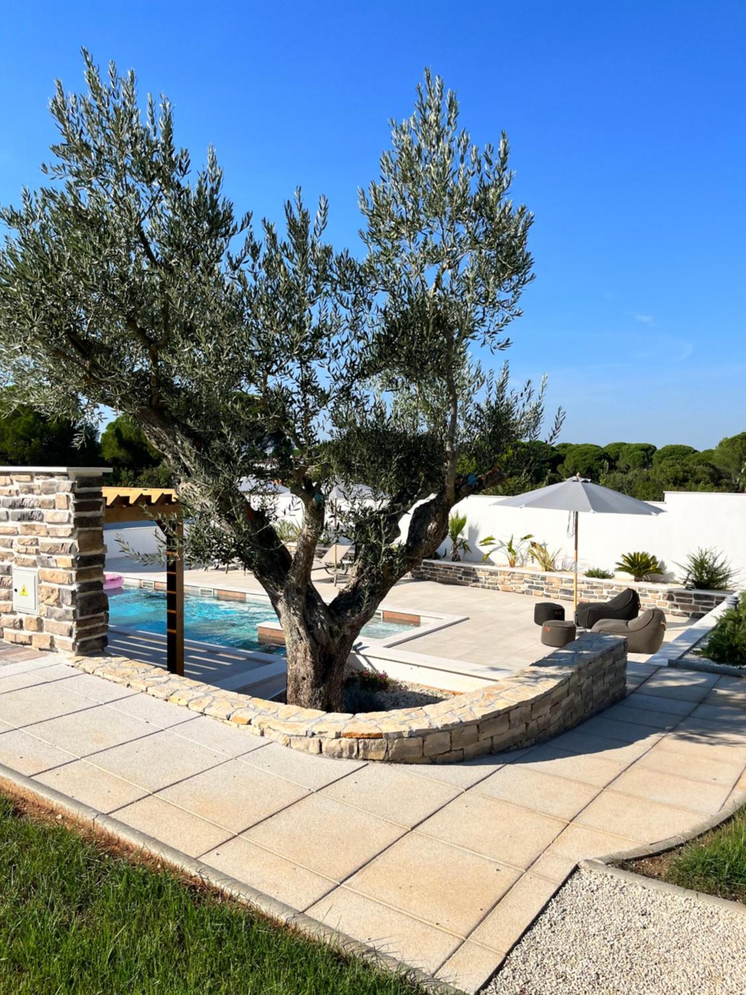 Olivea Luxury Suites Fažana Екстериор снимка